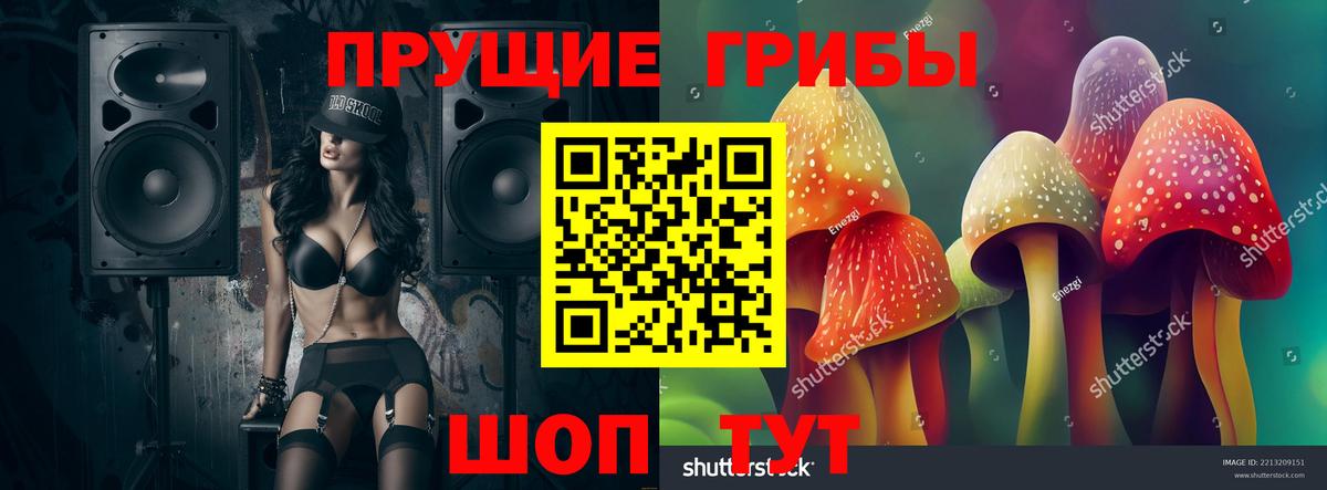 Псилоцибиновые грибы Psilocybine cubensis  Вход с VPN  Ступино 